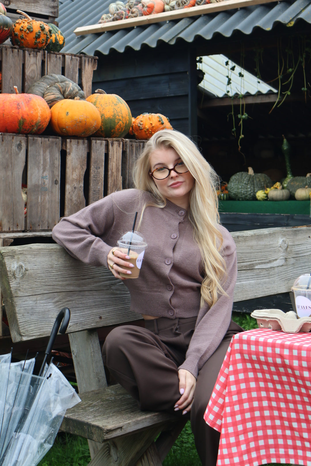 Manou cardigan - Brown