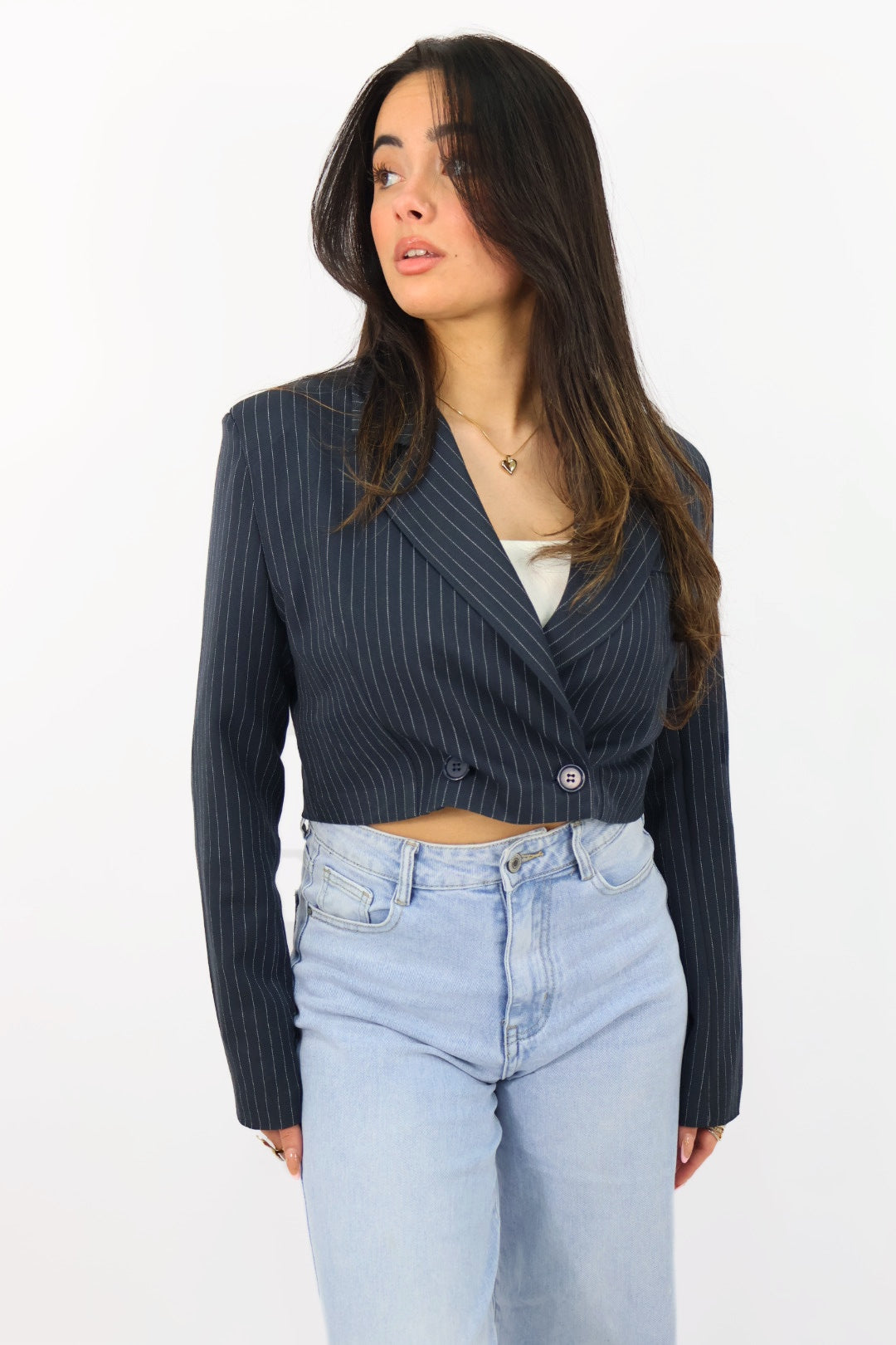 Striped blazer - Navy